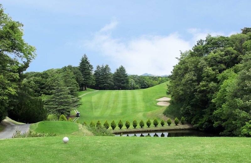 일본 오사카 2색 2박3일 후르츠플라워 카트비 미팅샌딩비